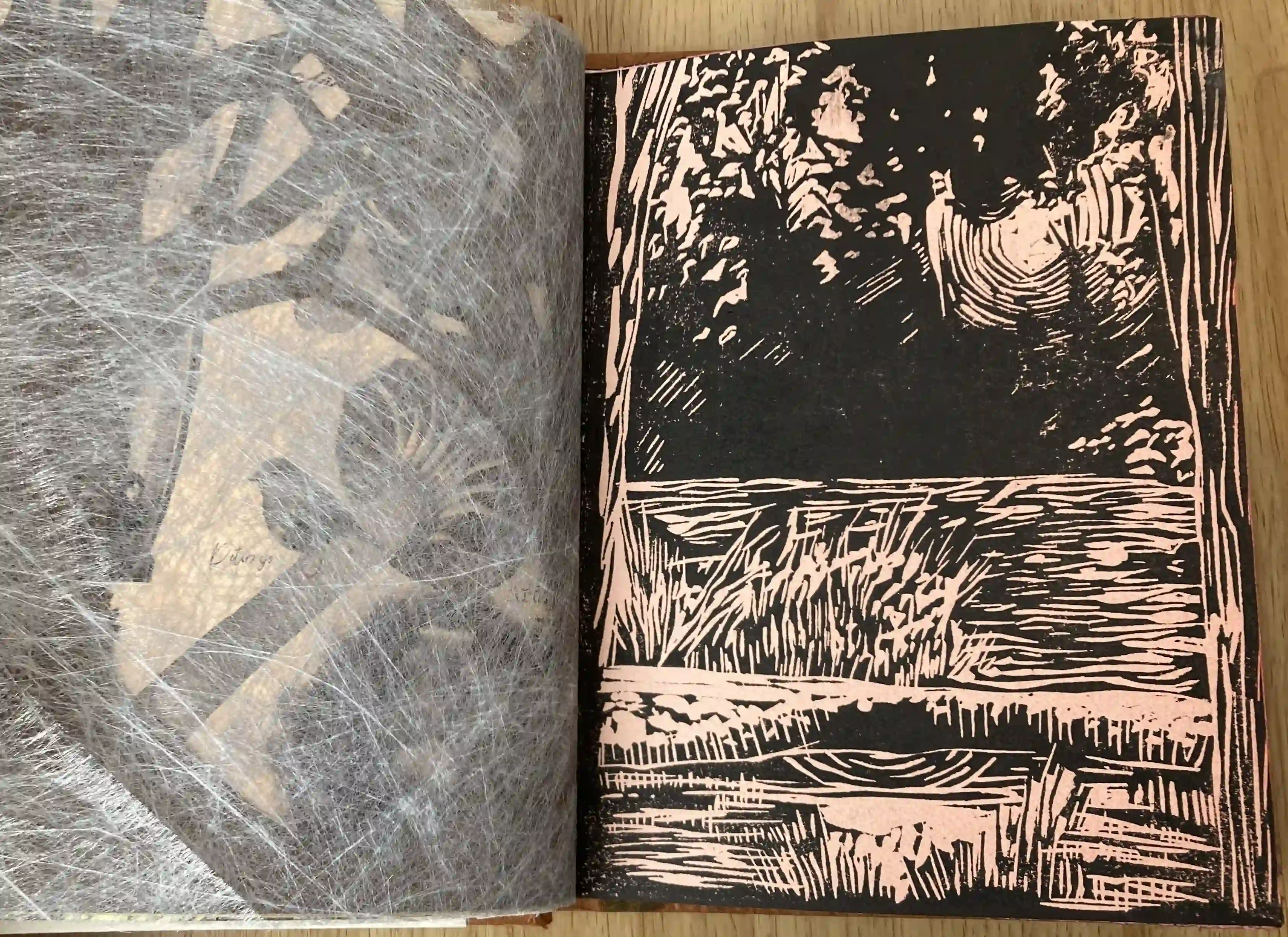Obra 5
